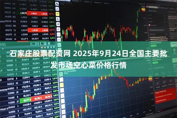 石家庄股票配资网 2025年9月24日全国主要批发市场空心菜价格行情